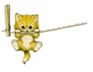 Анимационные картинки кошки 19