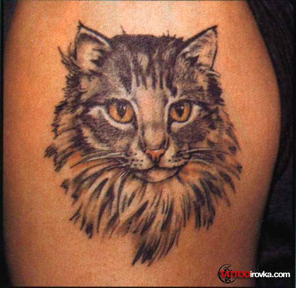Тату с кошками( 29 работ )