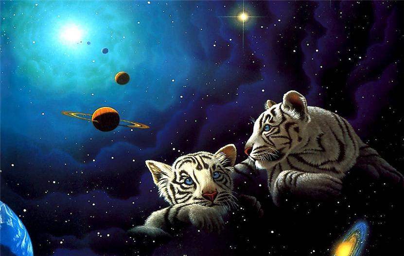 Рисунки китайских тигров (12 рисунков)