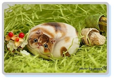 Рисунки кошек на камнях 4