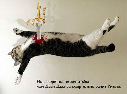 Картинки Котейки - Пираты Карибского моря 10