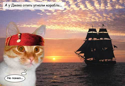 Картинки Котейки - Пираты Карибского моря 14