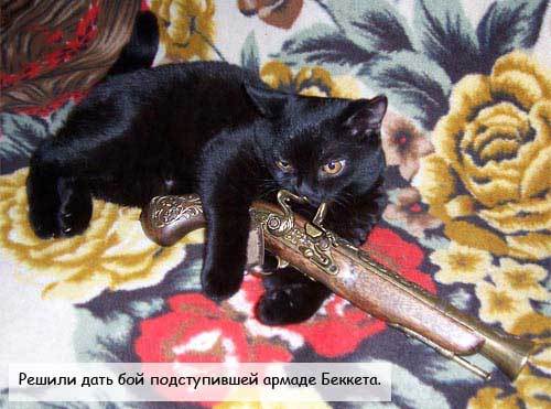 Картинки Котейки - Пираты Карибского моря 21