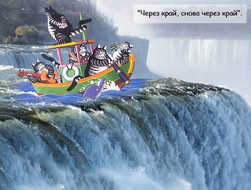 Картинки Котейки - Пираты Карибского моря 6
