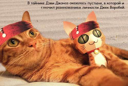 Картинки Котейки - Пираты Карибского моря 7