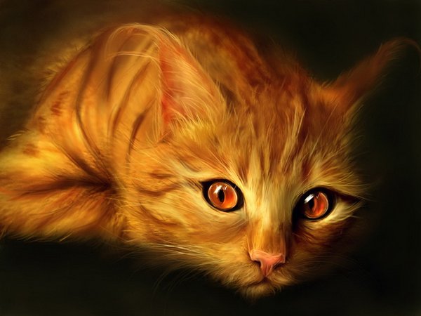 Картинки рыжие коты и кошки