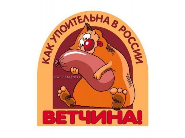 Плакаты с котами