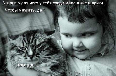 Как назвать котенка